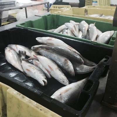 PHOTO-2025-01-28-06-40-07