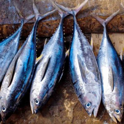 PHOTO-2025-01-28-06-40-44