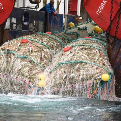 PHOTO-2025-01-28-06-44-42