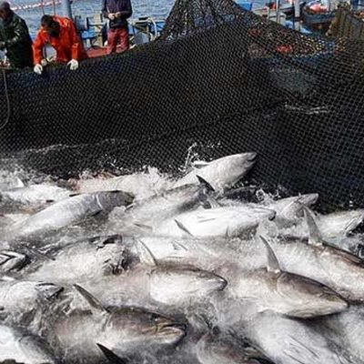 PHOTO-2025-01-28-06-44-51