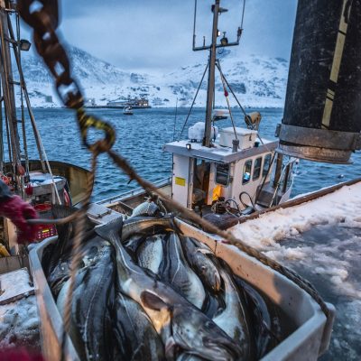 PHOTO-2025-01-28-06-45-04