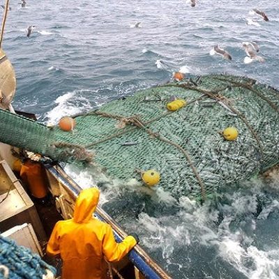 PHOTO-2025-01-28-06-46-41