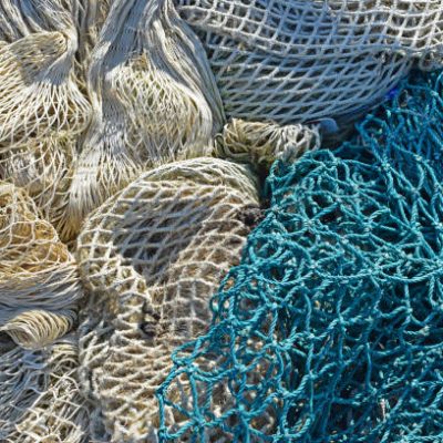 PHOTO-2025-01-28-06-47-07