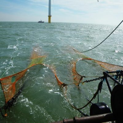 PHOTO-2025-01-28-06-48-55